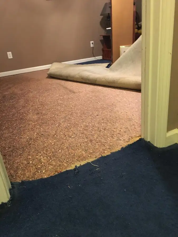 Carpet pad removal revealing water damage during Drying & Dehumidification in Lynnwood