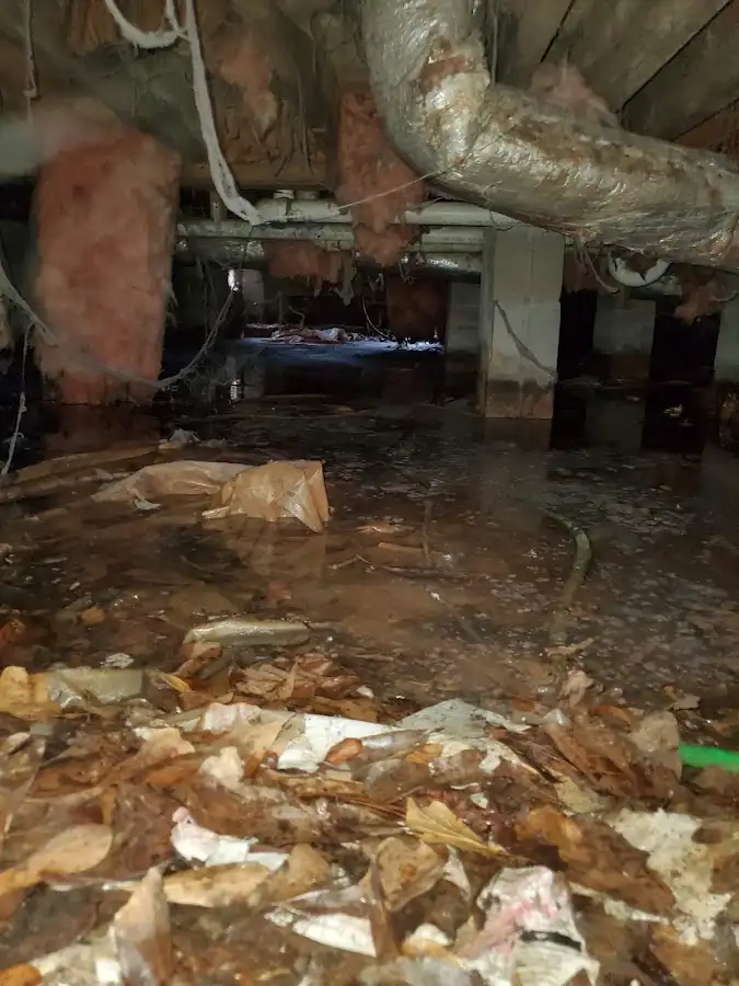 Crawl space flood assessment for Leak Detection & Repair in Lynnwood