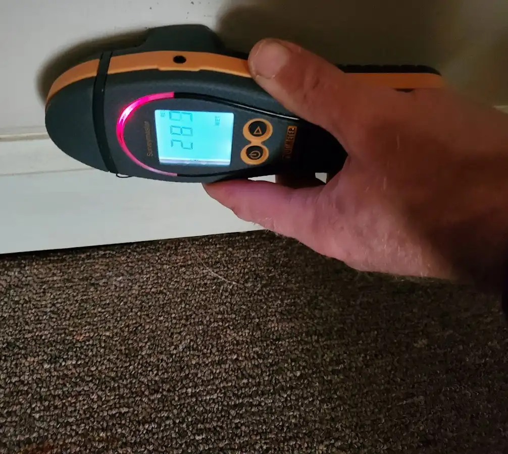Moisture detection at baseboard during Storm Damage Restoration in Lynnwood